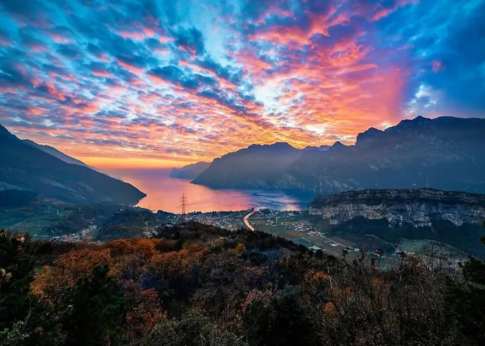 Riva City View